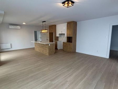 430 Boul. du Bord de l'Eau - Photo 3