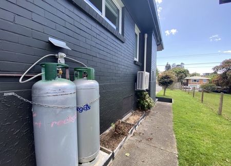 The Showstopper - Photo 2