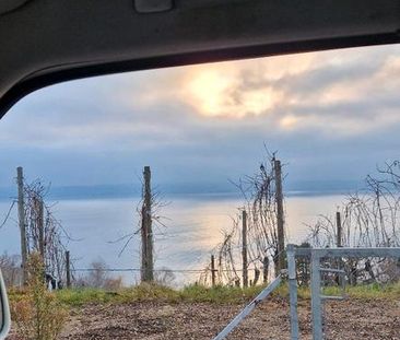 Wohnung am See - Photo 1