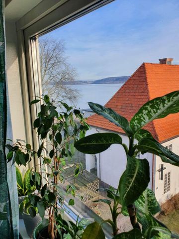 Östra Storgatan, Jönköping - Photo 5