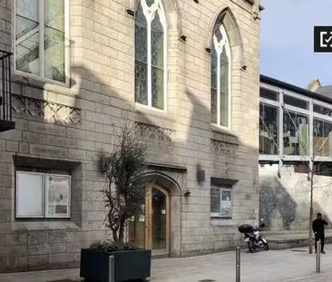 Stylish 3-bedroom apartment for rent in Old City, Dublin - Photo 5