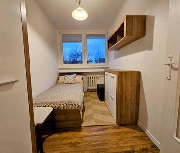 Wrocław - Zdjęcie 6