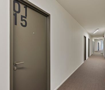 Studentenkamer te huur in Leuven - Foto 5