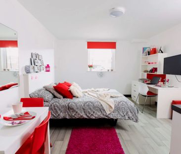 Premium Studio - Photo 4