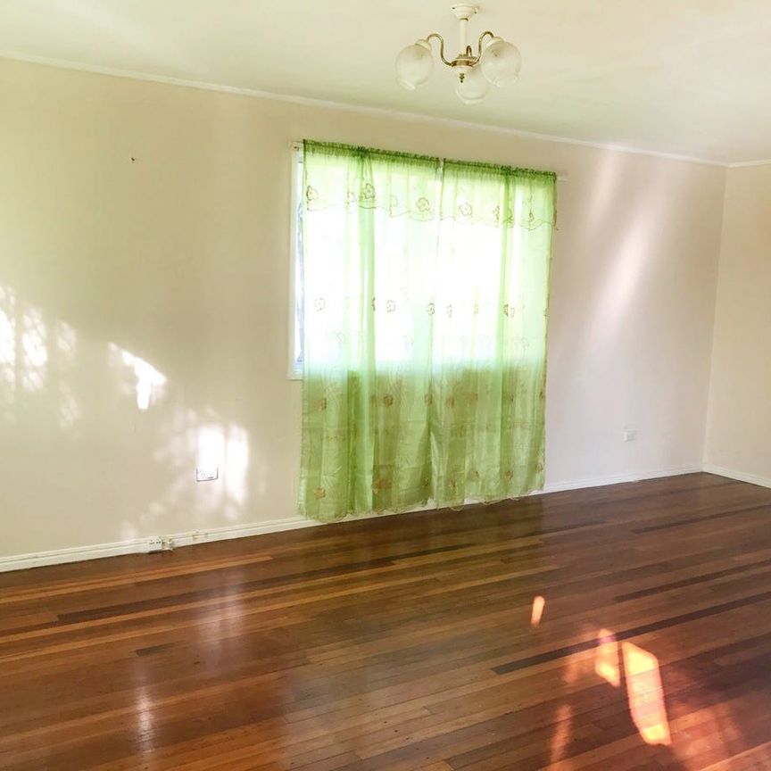 Spacious Family Home in Slacks Creek - Photo 1