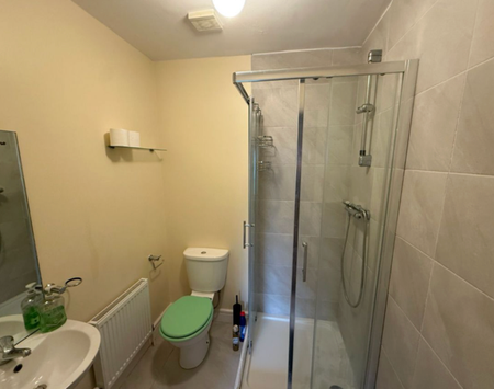 70 Ashmount Mews, Silversprings, Silversprings, Co. Cork - Photo 4