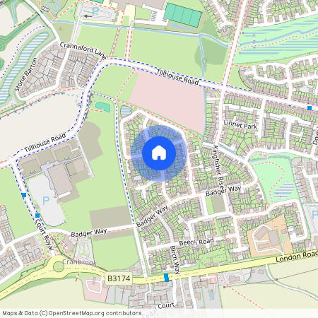 Sweet Chestnut, Exeter EX5