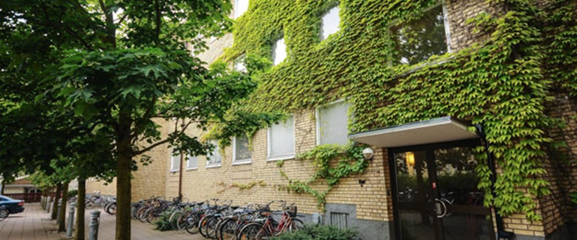 Vimbroplan 14 - Photo 1