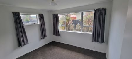 45 Collie Drive, Pukehangi - Photo 5