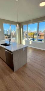 2-Bedroom Penthouse over Beacon Hill Park - Photo 4