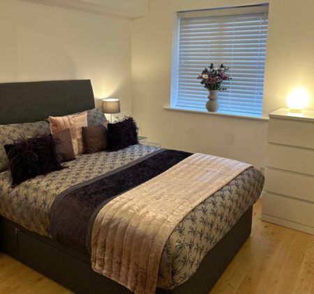 Harlinger Street, London - Photo 4