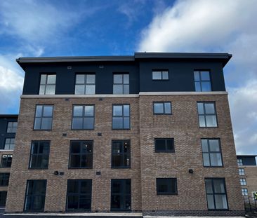 Erasmus Drive - Photo 5