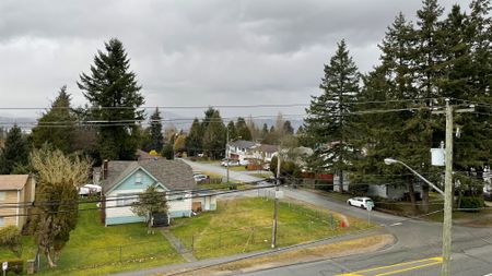 Bachelor Suite For Rent In Surrey/ Pets Allowed. - Photo 2