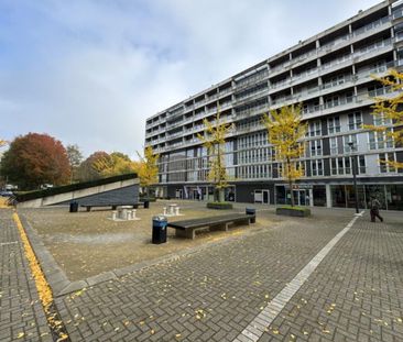 Professor de Moorplein - Photo 3