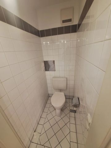 Supersüß und grün und sonnig - Foto 5