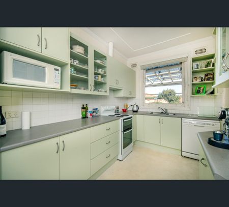 113 Harriet Street, Waratah, NSW 2298 - Photo 4