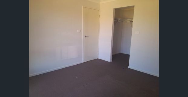 Great 4 Bedroom Home In Westdale - Photo 1