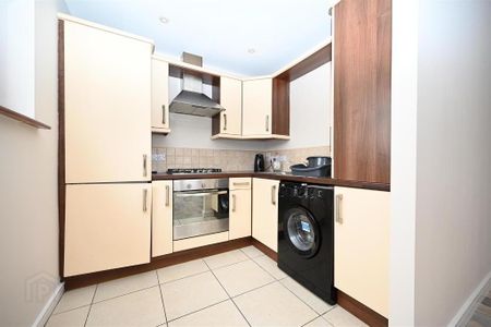 Apt 16, Park View, Dunmurry, Belfast, BT17 9RD - Photo 5