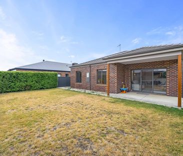 MODERN FAMILY LIVING IN PRIME ALFREDTON LOCATION - Photo 2