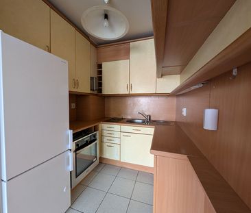 Location Appartement 2 pièces 47m² - Photo 4