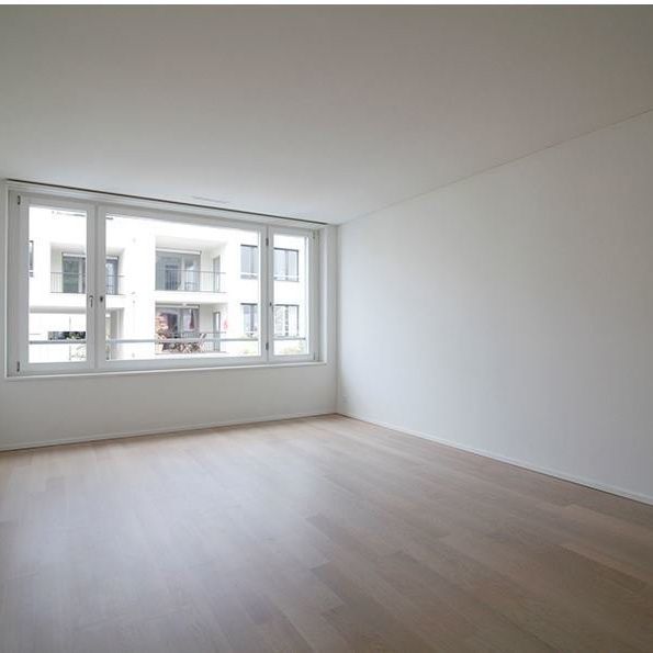 2 ½ Zimmer-Wohnung in Winterthur mieten - Photo 1