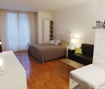 Apartment Pierre 1er de Serbie Studio - Photo 2