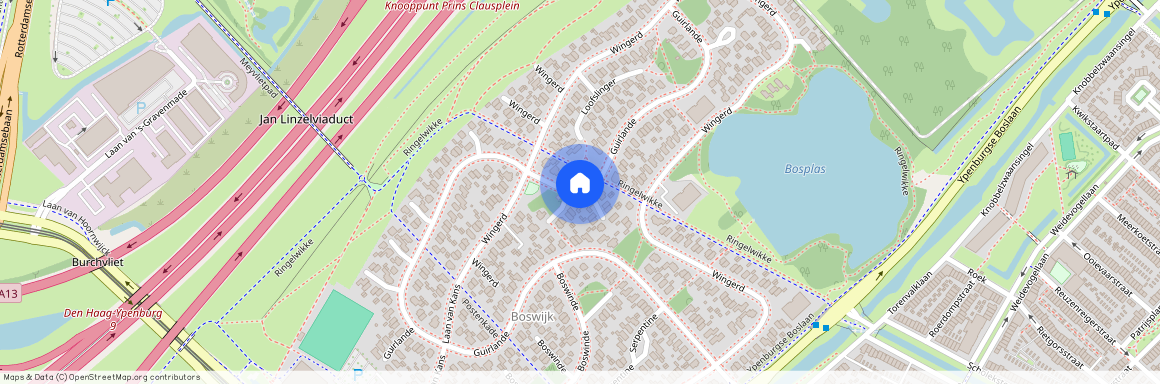 Bosweide, 2496 WX, Guirlande, Den Haag