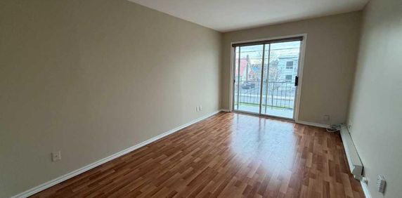 BEAU 41/2 - LIBRE IMMÉDIATEMENT - PRÈS CÉGEP - Photo 2