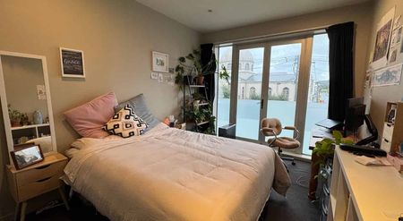 Beautiful 3 bedroom apartment in Mt Vic - Photo 5