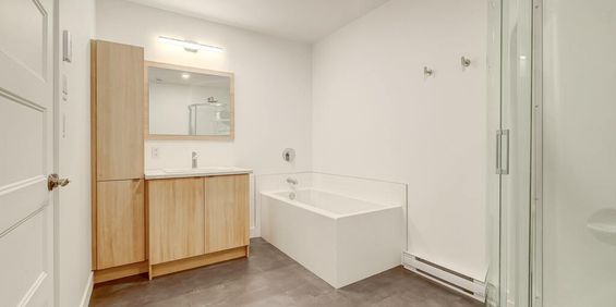 Très Grand 3 1/2 à Louer - Photo 3