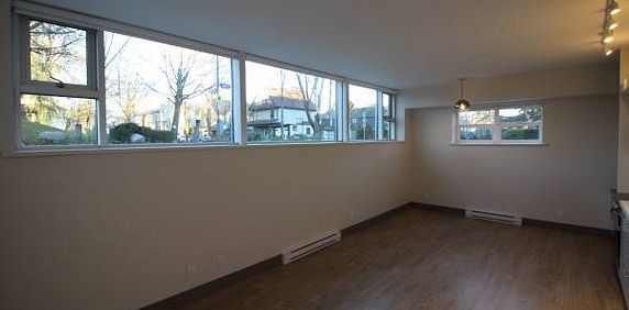 Newly Renovated Studio Apartment - Photo 2