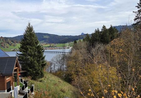 HIGH-QUALITY, FIRST-TIME RENTAL, NATURE-CLOSE WITH LAKE VIEW - Photo 5