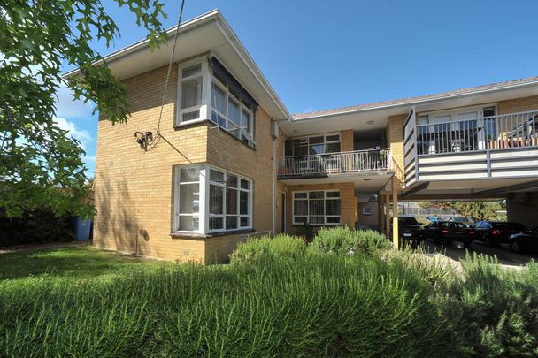 Beautiful Two bedroom Apartment! - Photo 1