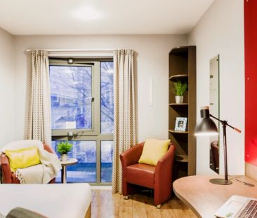 Standard Studio - Photo 2