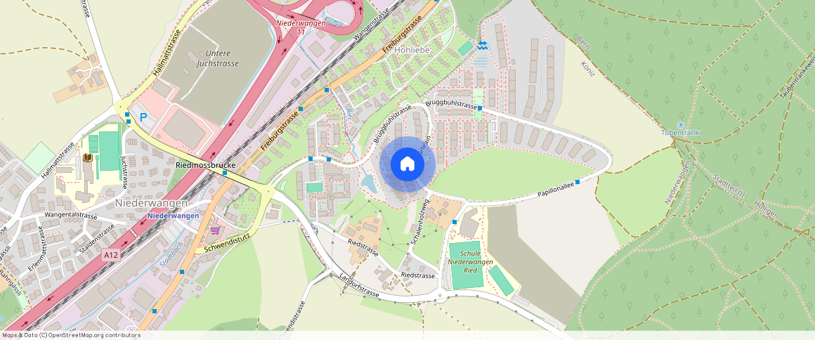 Schürlirain 42, 3172, Niederwangen Be