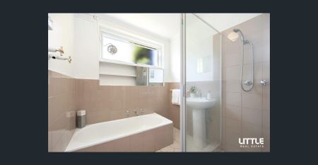 Captivating Sunlit Living - Photo 5