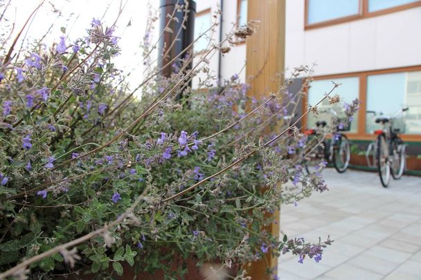 Per Albin Hanssons väg 61E - Photo 1