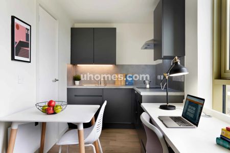 Accessible Bronze Studio - Single Occupancy - Photo 3