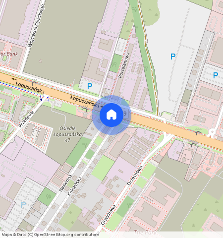 Łopuszańska, Włochy, mazowieckie, Warszawa