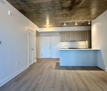 30 Avenue Joseph Lafléche, #502 - Photo 5