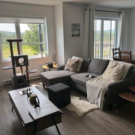 4 et demi a louer decembre - Photo 4