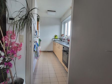 Ruim 3-slaapkamerappartement in hartje Deinze - Photo 2