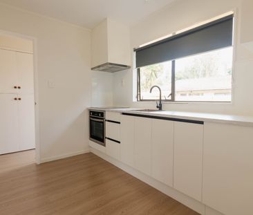 Newly Renovated in Remuera - Photo 4