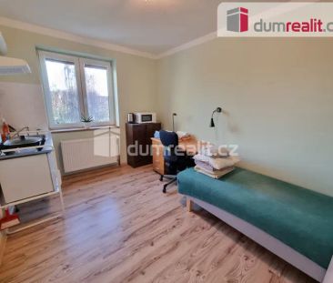 Pronájem pokoje 1+0/zahrada, 12 m - Photo 3