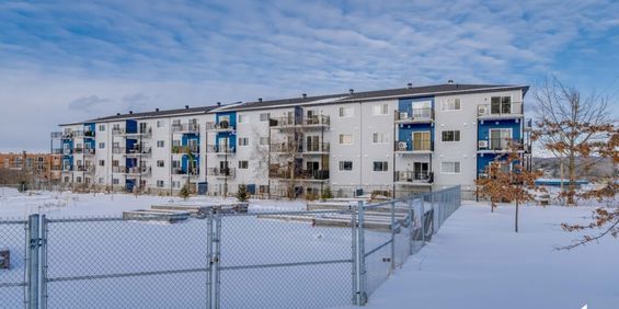 302-915 Rue Walsh - Photo 3