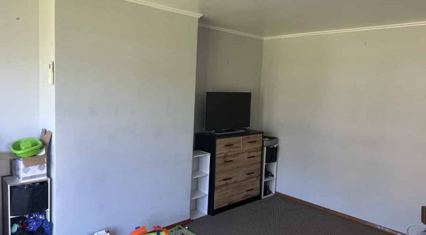 PAHIATUA - 3 BEDROOMS - Photo 1