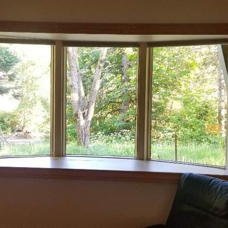 5 1/2 foyer tout inclus (wifi et hydro) terrain bordé d'un étang - Photo 4