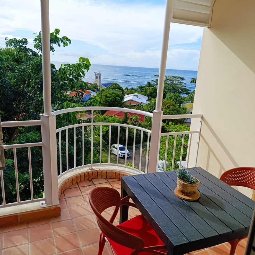 Location Appartement 1 pièce 21m² LA TRINITE 97220 - Photo 2