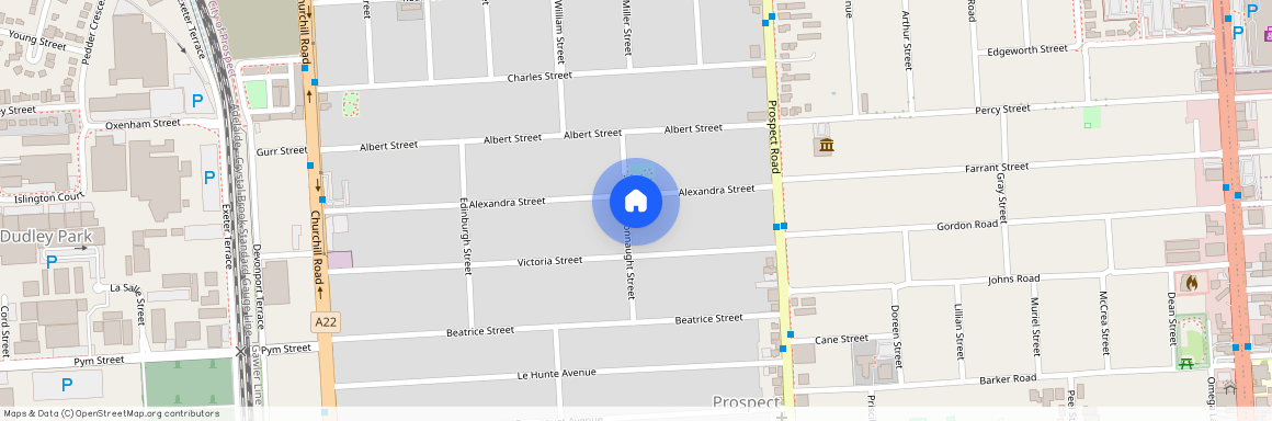 31 Alexandra Street, SA 5082, Prospect