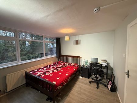 Room in a Shared House, Roxeth Hill, HA2 - Photo 2